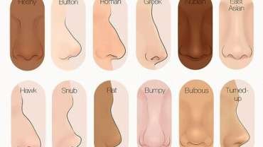 Do You Know Your Nose Type