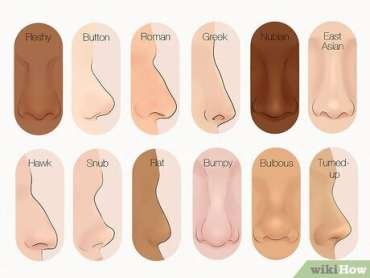 Do You Know Your Nose Type
